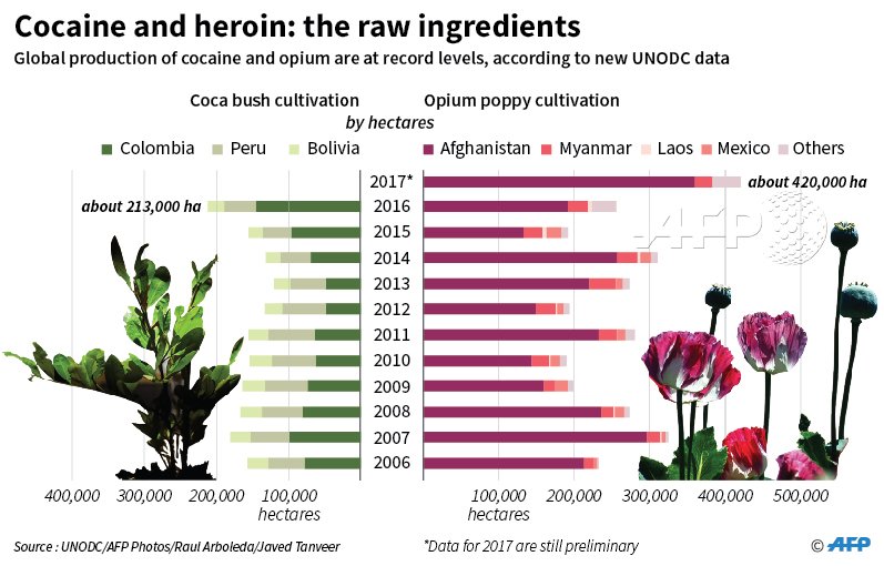 Cocaine and heroin at record highs in global production says new UNODC report