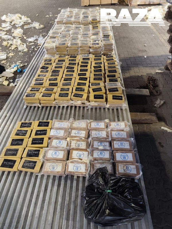 Les douaniers et les agents du FSB ont trouvé 820 kilogrammes de cocaïne d'une valeur de 12 milliards de roubles dans le port de Saint-Pétersbourg