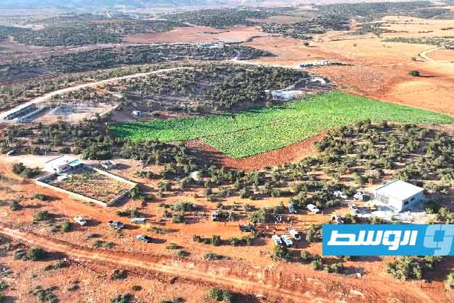 División Antiterrorista: 5 toneladas de hachís incautadas durante una redada en la zona de Tacnis (127 km al este de Bengasi)