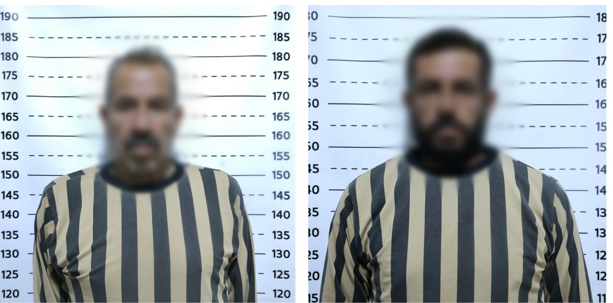 The Anti-Narcotics Department raided a farm near Safira (SE. Aleppo) where cannabis plants were cultivated. They were destroyed while the owner & his son were arrested in the operation