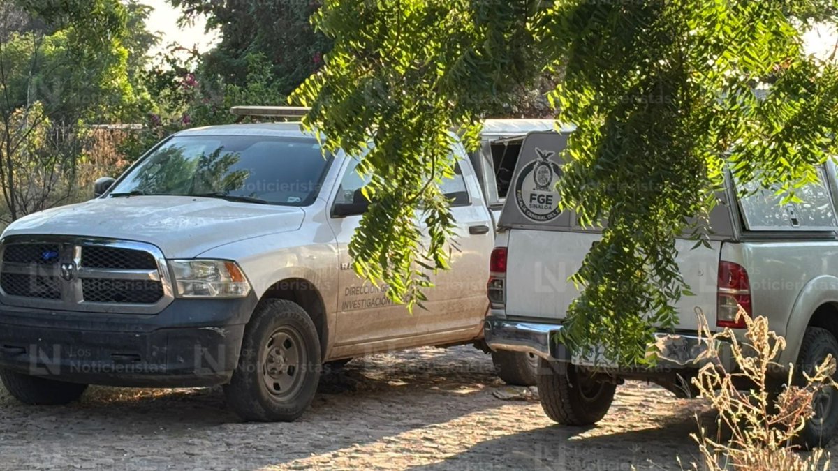 Culiacán: Burned bone remains found on a property in Huertos del Pedregal in Bellavista, in the Culiacancito district