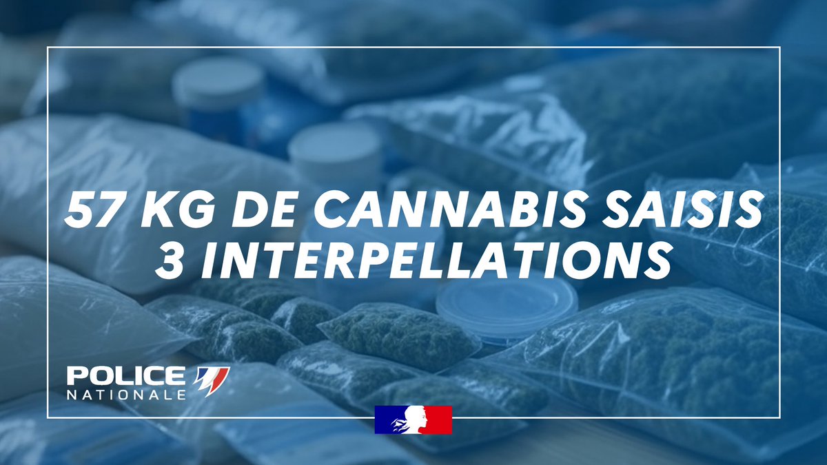 National police and customs cooperation: Over 57 kg of cannabis seized near Rennes (35). In late August, surveillance of a package shipment from California containing nearly 20 kg of cannabis led to the first arrest.